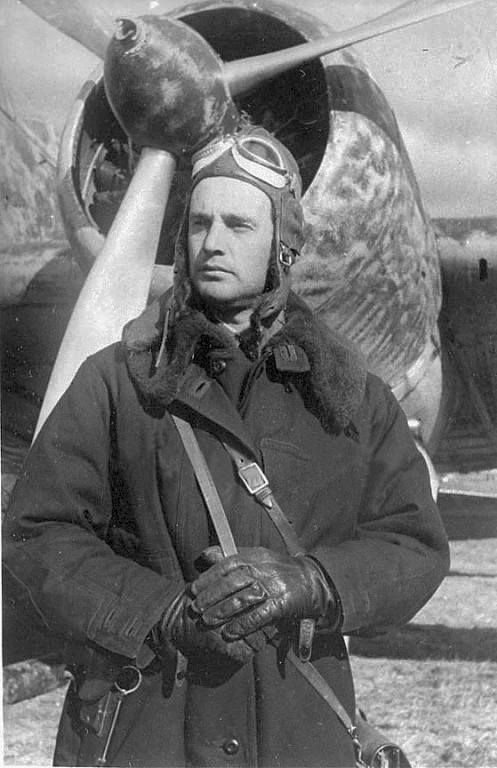 WWII image soviet long-range warplane identification mark / nose art.