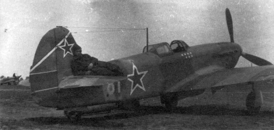 русский военный самолёт СССР схема боевой окраски ВВС РККА в ВОВ.