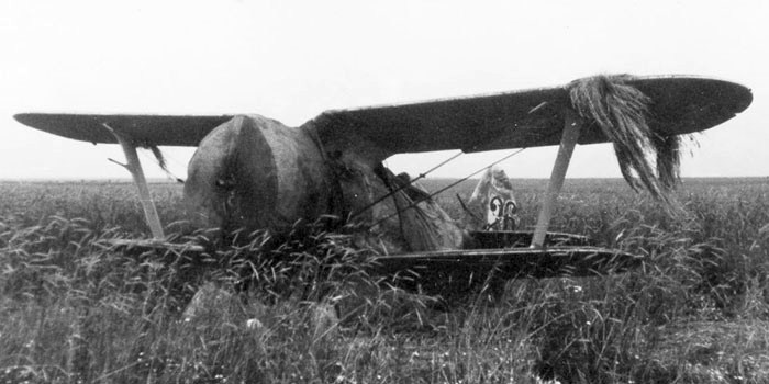 И153 сталинские соколы в боях за Родину 17 иап ВВС КА в ВОВ - самолеты и эмблемы