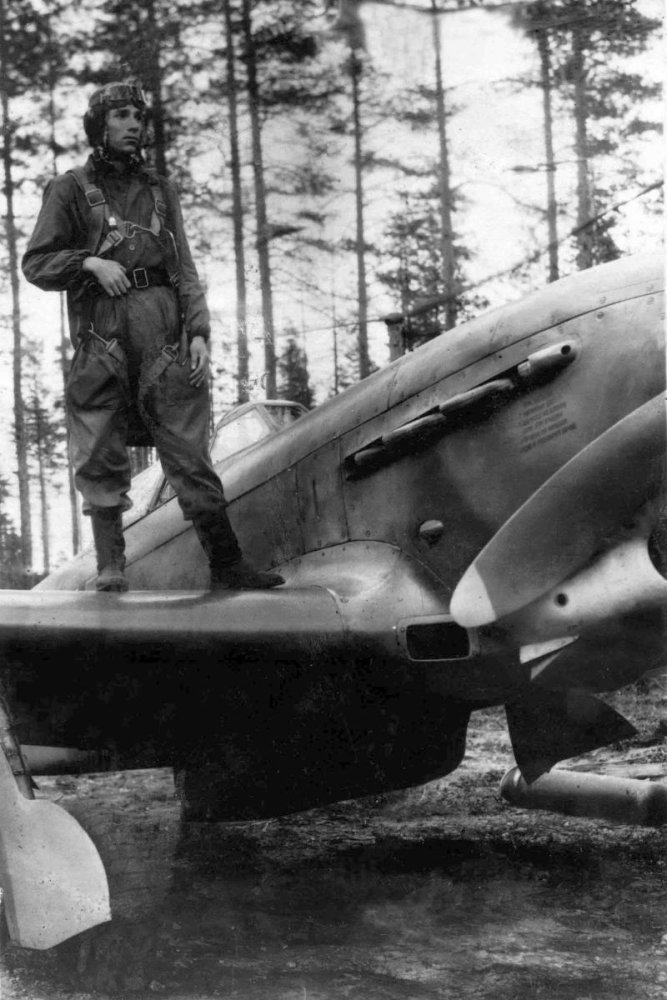 Сталинские соколы ВОВ 195 иап ВВС КА в ВОВ - самолеты и эмблемы