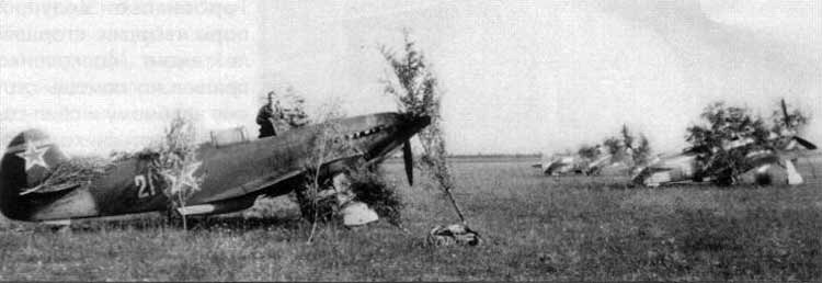 операции Багратион проводилась с 23 июня по 29 августа 1944 г., 
а первые Як-3 1 гиап получил в сентябре, т.е. фактически как раз сразу после ее окончания. 
Насчет аэродрома Микулино я не в курсе, может это и верно.
wwII photo russian nose art. soviet warplane