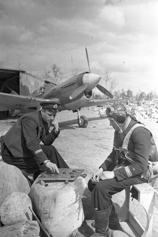 шашки P-40E Kittyhawk Curtiss, аэродром Ваенга-1 Герой Советского Союза В.Покровский и Орлов