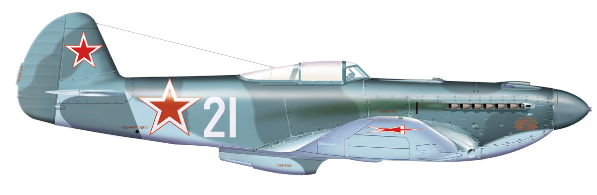 цветной боковик 31 Гв.ИАП (273 иап) ВВС КА.