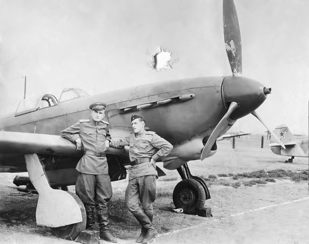 wartime picture Yak-9m in combat 356th fighter aviation regiment VVS