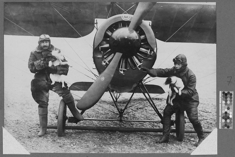 photo WWI monoplane