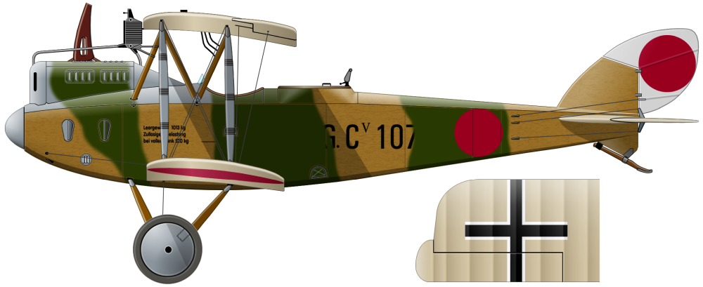 107 x -18 LVG C.V 24-й РАО Пилот - Тарасов. Украинский фронт, апрель 1919 г.